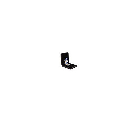 Funda de Cuero Guess 4G Samsung Galaxy Z Flip 5