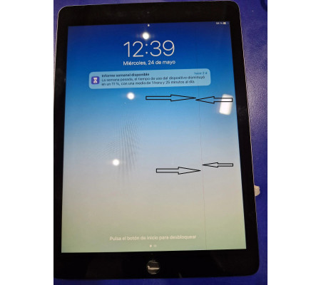Pantalla Completa iPad Air 2